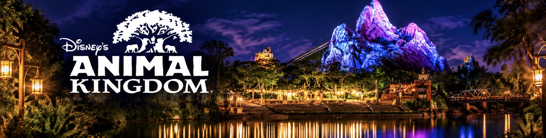 Animal Kingdom planning inline